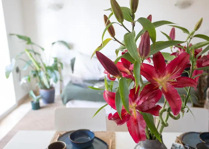 Appartement Fonderia 9