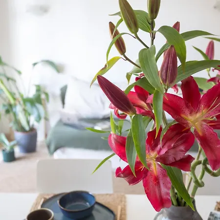 Appartement Fonderia 9