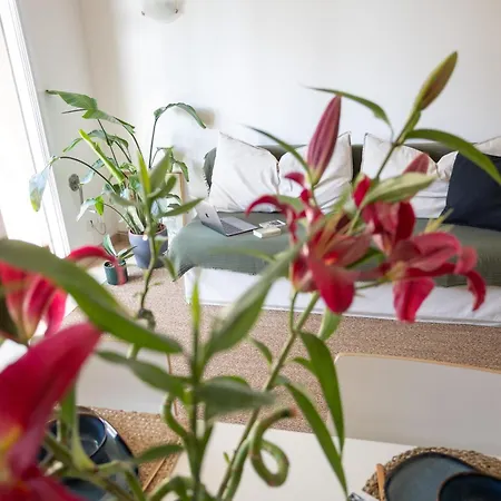 Appartement Fonderia 9 *